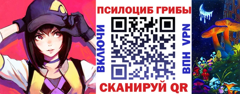Псилоцибиновые грибы Psilocybe  сайты даркнета как зайти  Сергач  как найти закладки  гидра ССЫЛКА 
